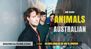 Glass Animals: British or Australian?