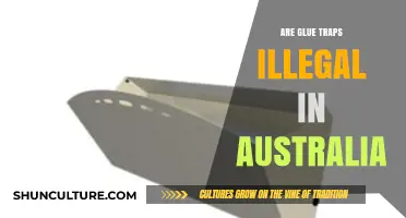 Are Glue Traps Illegal in Australia? Legal Insights and Alternatives