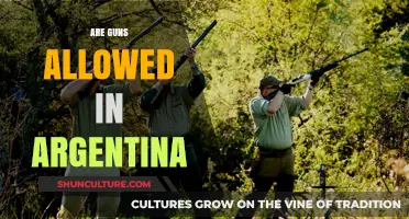 Understanding Gun Laws in Argentina: A Comprehensive Guide