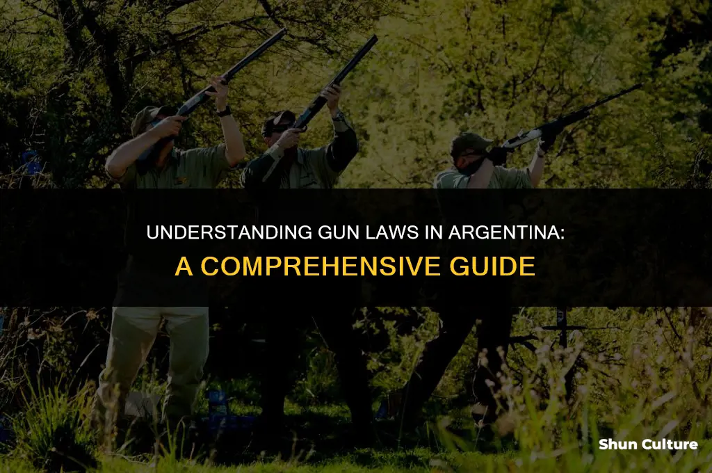 are guns allowed in argentina