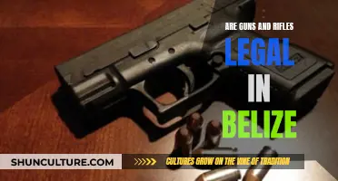 Gun Laws in Belize: What's the Legal Status?