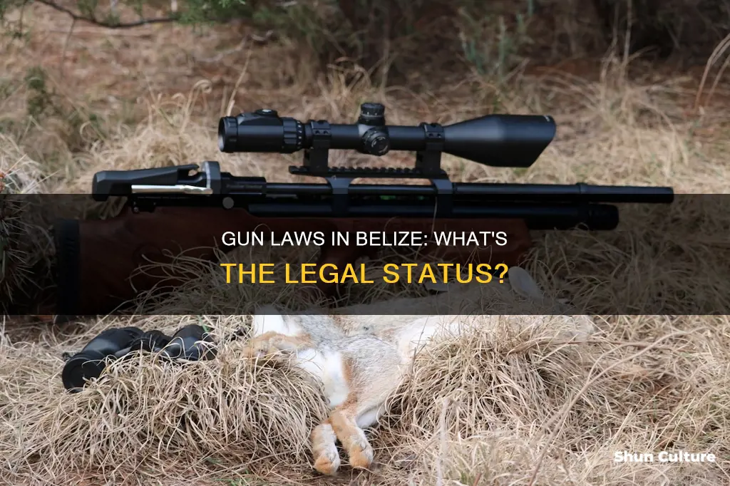 are guns and rifles legal in belize