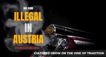 Gun Laws in Austria: What's the Legal Status?