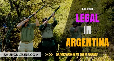 Understanding Gun Laws in Argentina: A Comprehensive Guide