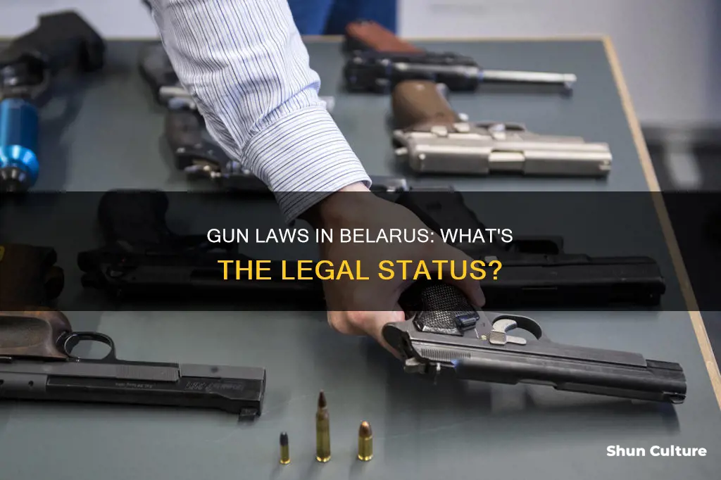 are guns legal in belarus