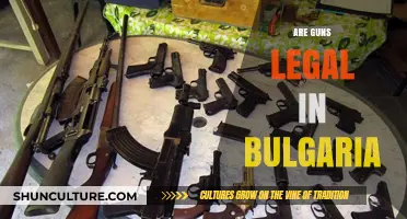 Exploring Bulgaria's Gun Laws: Legal Ownership and Regulations