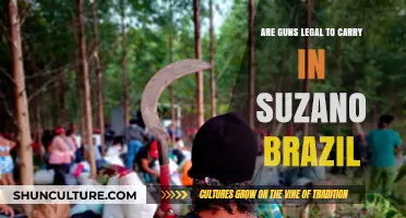 Understanding Gun Laws: Carrying Firearms in Suzano, Brazil - Legal or Not?