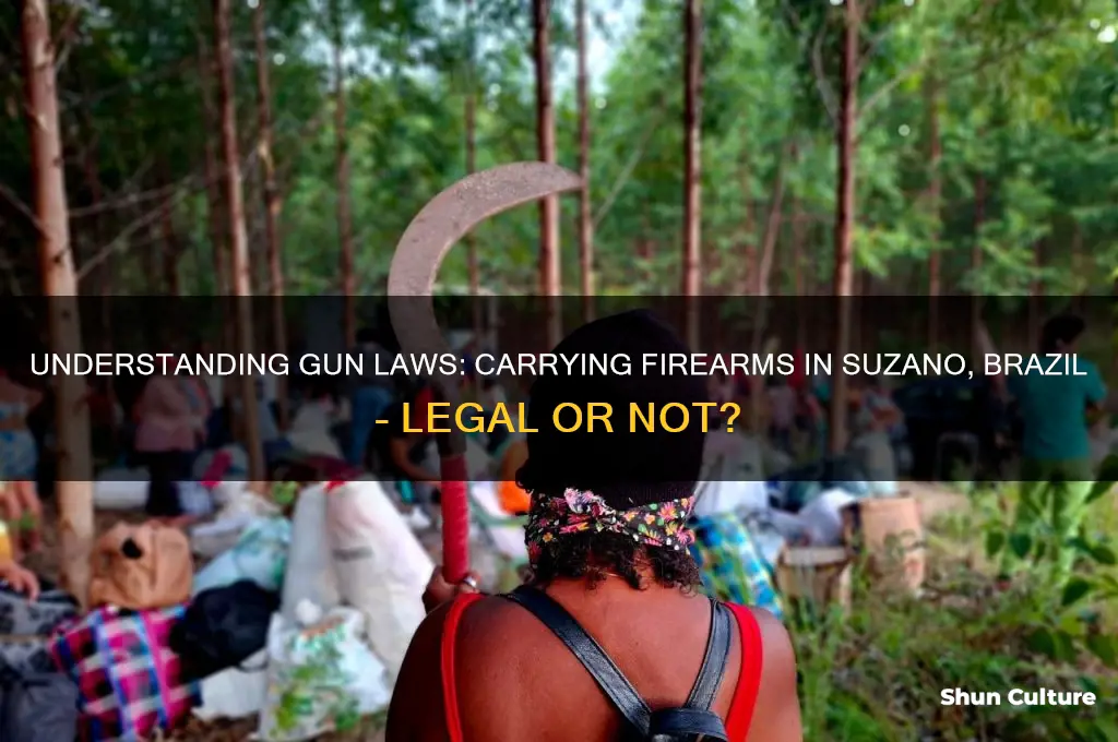 are guns legal to carry in suzano brazil
