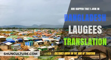 Joining Bangladesh Refugee Translation Efforts: My Unexpected Journey and Impact