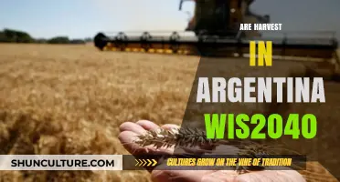 Argentina's Agricultural Outlook: WIS2040 Harvest Predictions and Trends