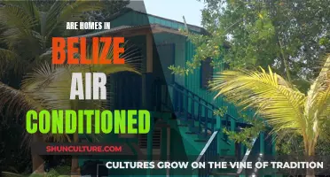 Belize's Air Conditioning: A Comfortable Home Reality