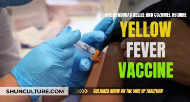 Vaccination Requirements for Central American Travel