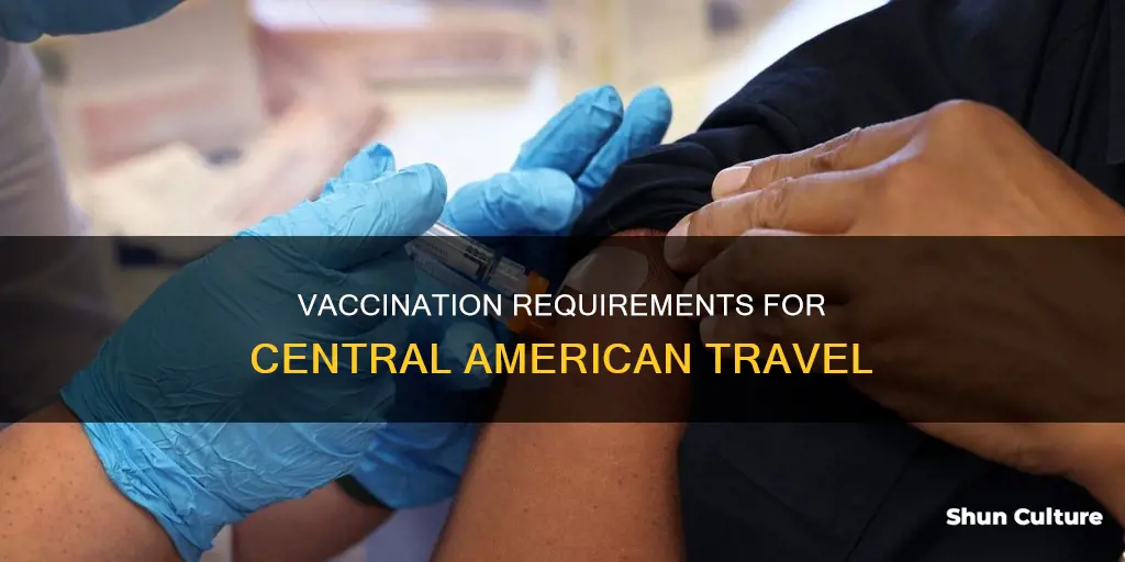 are honduras belize and cozumel require yellow fever vaccine