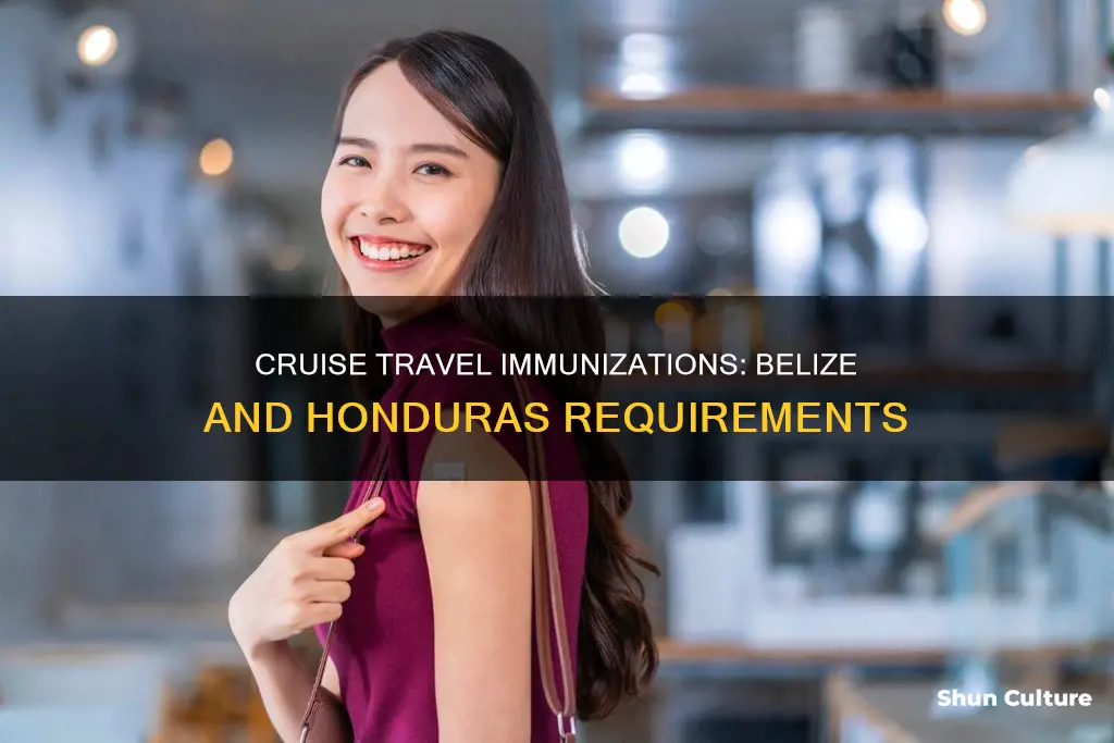 are immunizations required for cruise travel to belize and honduras