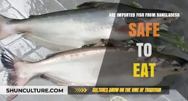 Imported Fish from Bangladesh: Safety Concerns and What You Need to Know