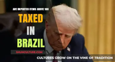 Brazil's Import Tax Rules: Are Items Over 100 Reais Taxed?