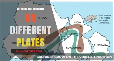 India and Australia: Different Plates, One Earth