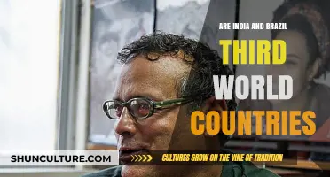 Are India and Brazil Still Considered Third World Countries?