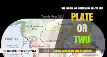 Landmass Link: Are Indian and Australian Plates Connected?