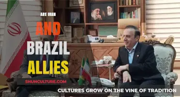 Iran and Brazil: Exploring Their Complex Diplomatic and Economic Ties
