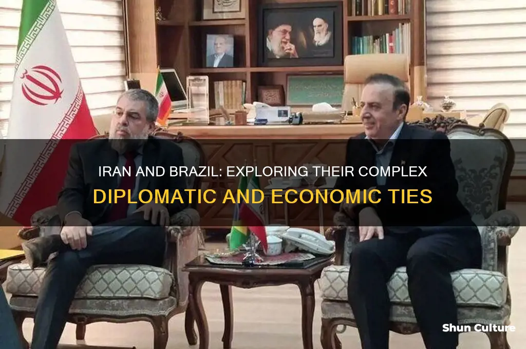 are iran and brazil allies