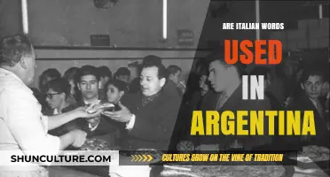 Exploring the Influence of Italian on Argentine Spanish