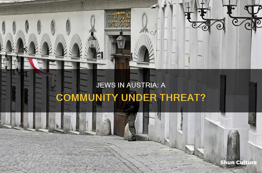 are jews in danger in austria now