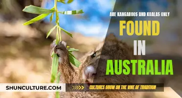 Where Kangaroos and Koalas Call Home