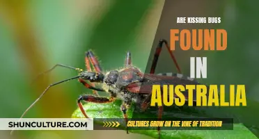 Kissing Bugs: An Australian Concern?
