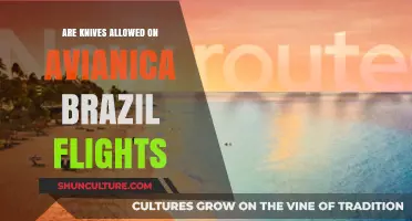 Can You Bring Knives on Avianca Brazil Flights? Rules Explained