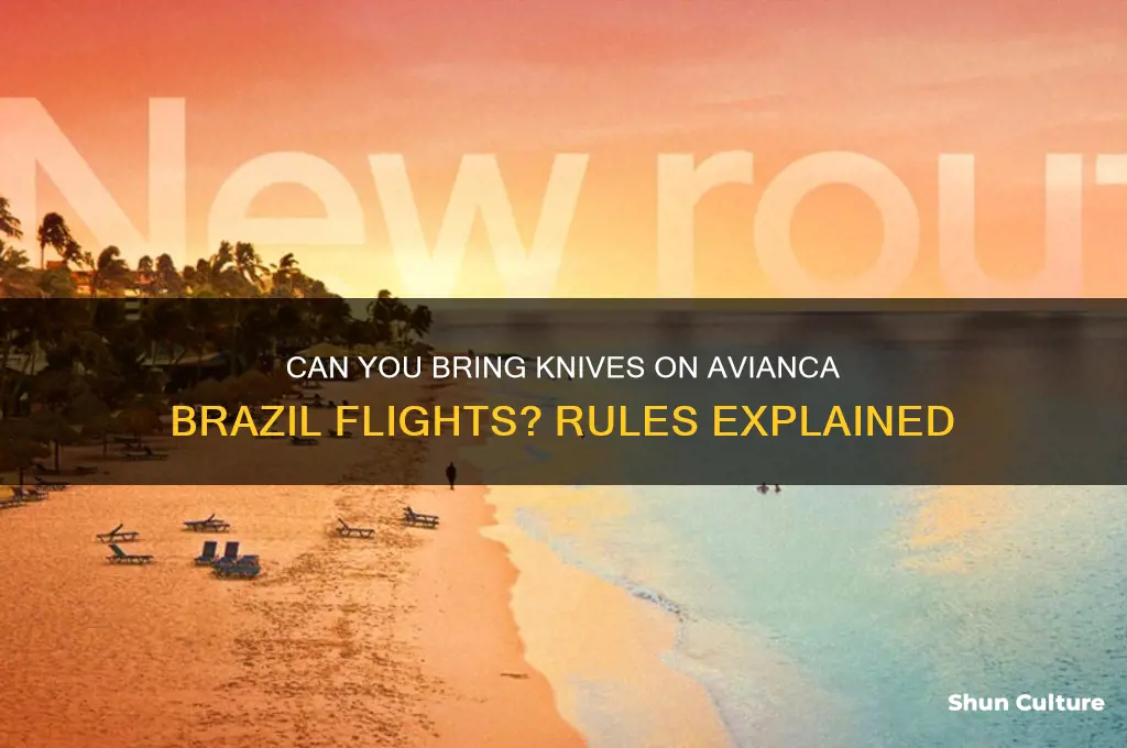 are knives allowed on avianica brazil flights