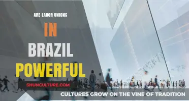 Are Brazil's Labor Unions Truly Powerful? A Comprehensive Analysis