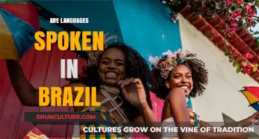 Exploring Brazil's Linguistic Diversity: Languages Spoken Across the Nation