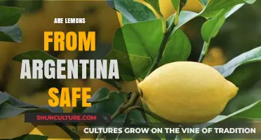 Exploring the Safety of Argentine Lemons: A Comprehensive Guide