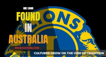 Lions in Australia: Myth or Reality?