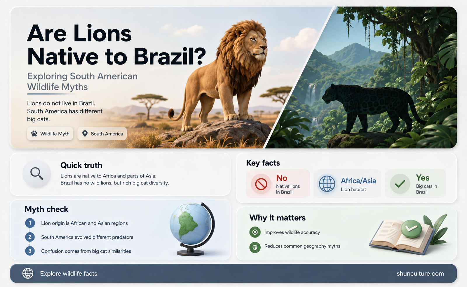 are lions found in brazil
