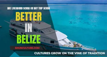 Liveaboard or Day Trip: Which is Best for Belize Diving?