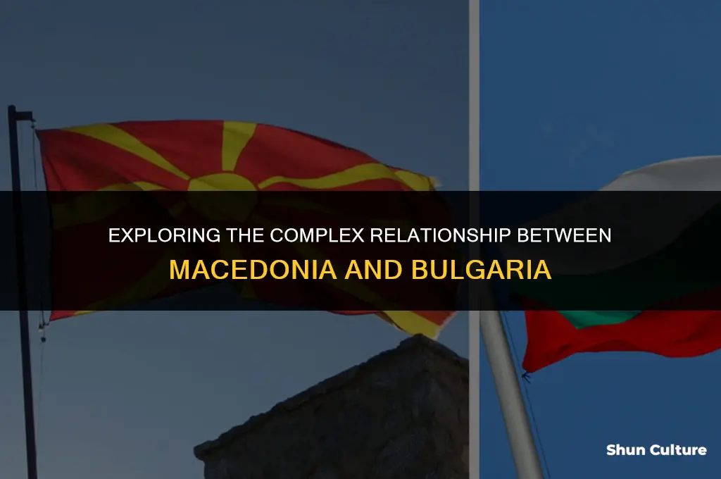 are macedonia and bulgaria allies