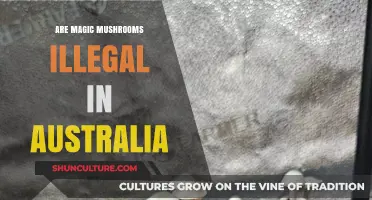 Are Magic Mushrooms Illegal in Australia? Legal Status Explained