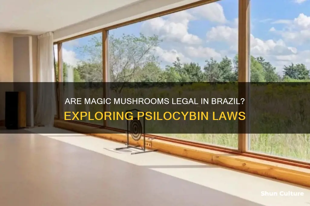 are magic mushrooms legal in brazil