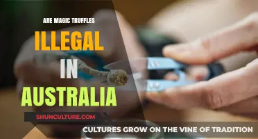 Are Magic Truffles Illegal in Australia? Legal Status Explained