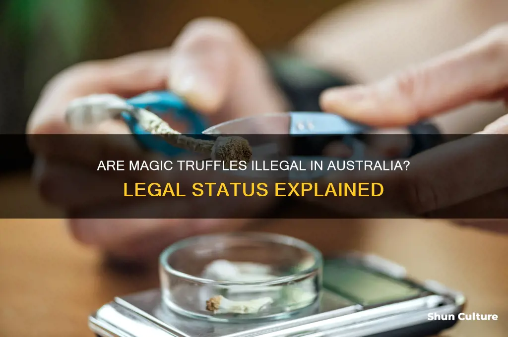 are magic truffles illegal in australia