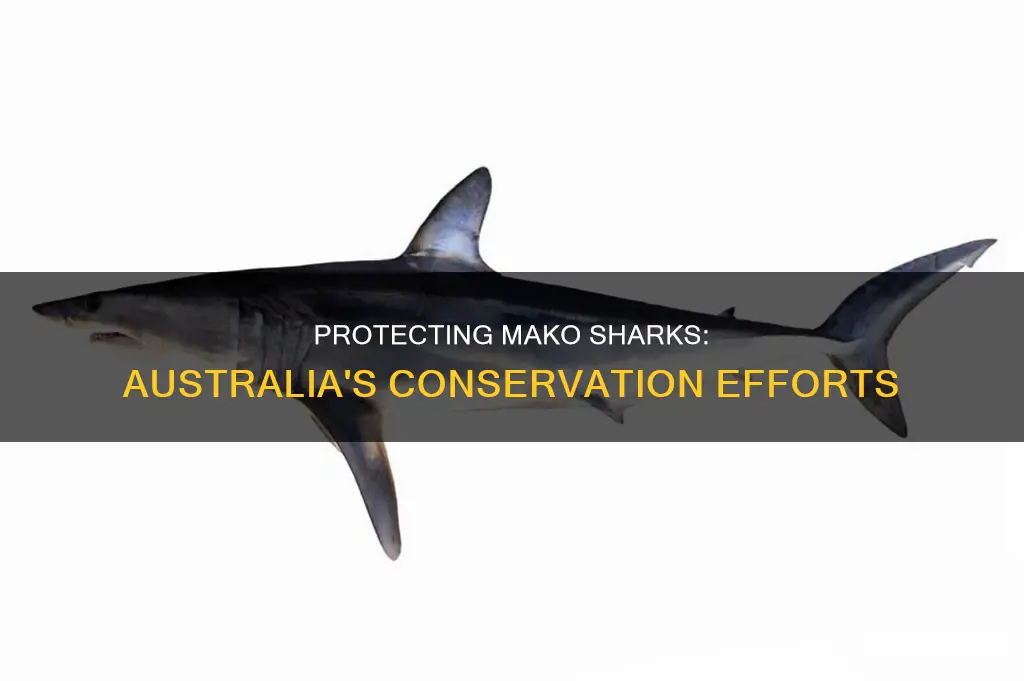 are mako sharks protected in australia