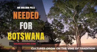 Malaria Pills for Botswana: Essential or Optional? Travel Health Guide
