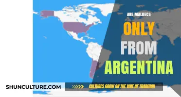 Exploring Malbec's Global Journey: Beyond Argentina's Borders