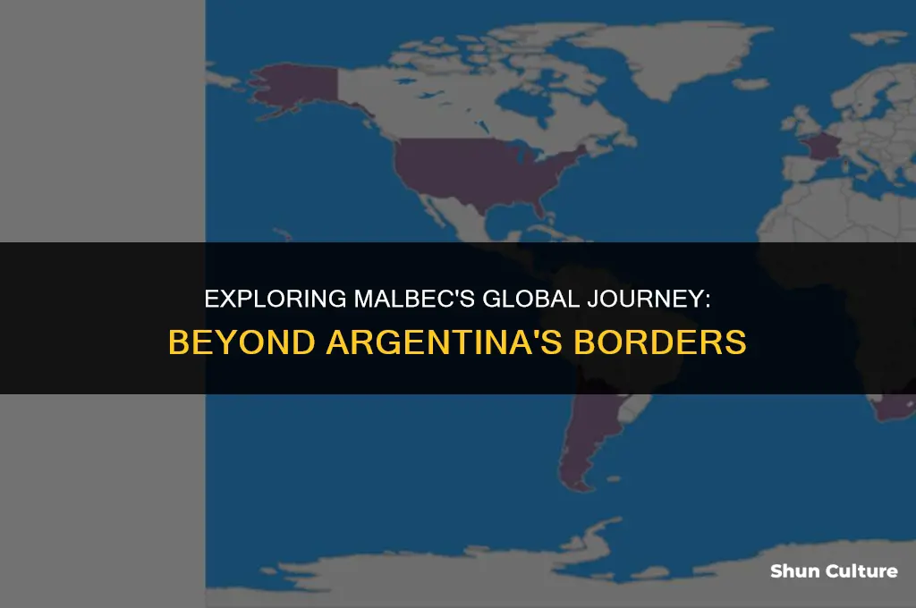are malbecs only from argentina