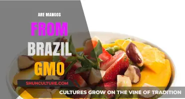 Are Brazilian Mangos GMO? Uncovering the Truth About Their Origin