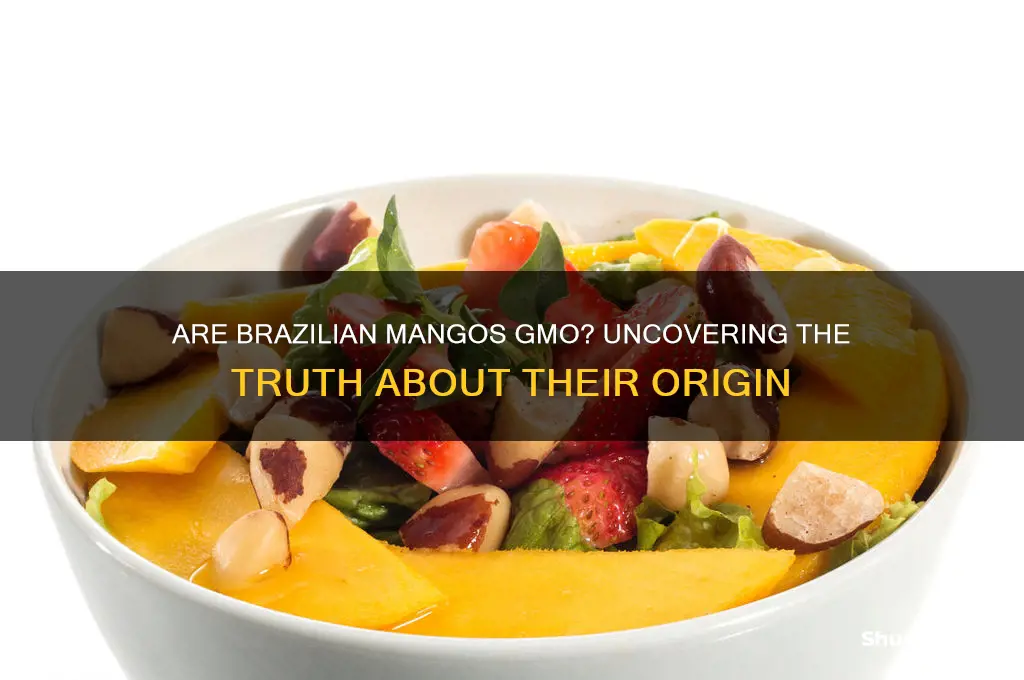 are mangos from brazil gmo