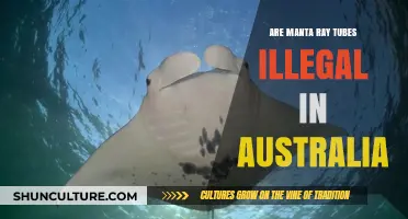 Are Manta Ray Tubes Illegal in Australia? What You Need to Know