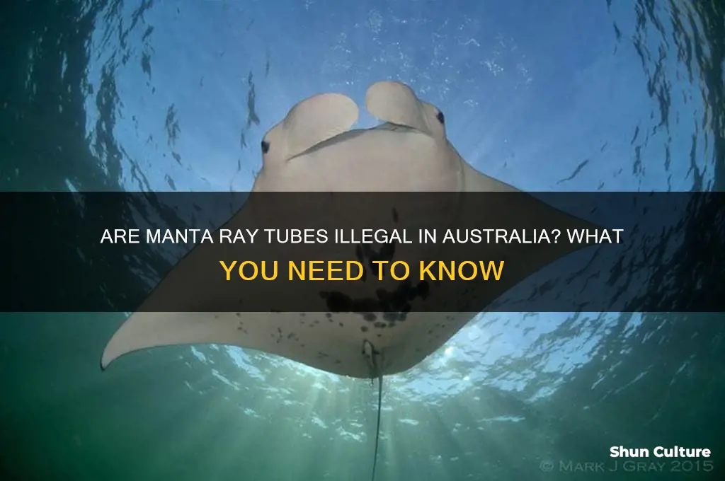 are manta ray tubes illegal in australia